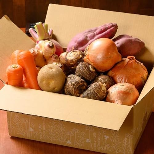 [全6回定期便][シェフの目線] あったら嬉しい根菜×おまかせ旬野菜セット サラダ 新鮮野菜セット 詰め合わせ 安心安全 野菜 サラダ 野菜セット 根菜 旬野菜セット 国産野菜 詰合せ 野菜 定期便