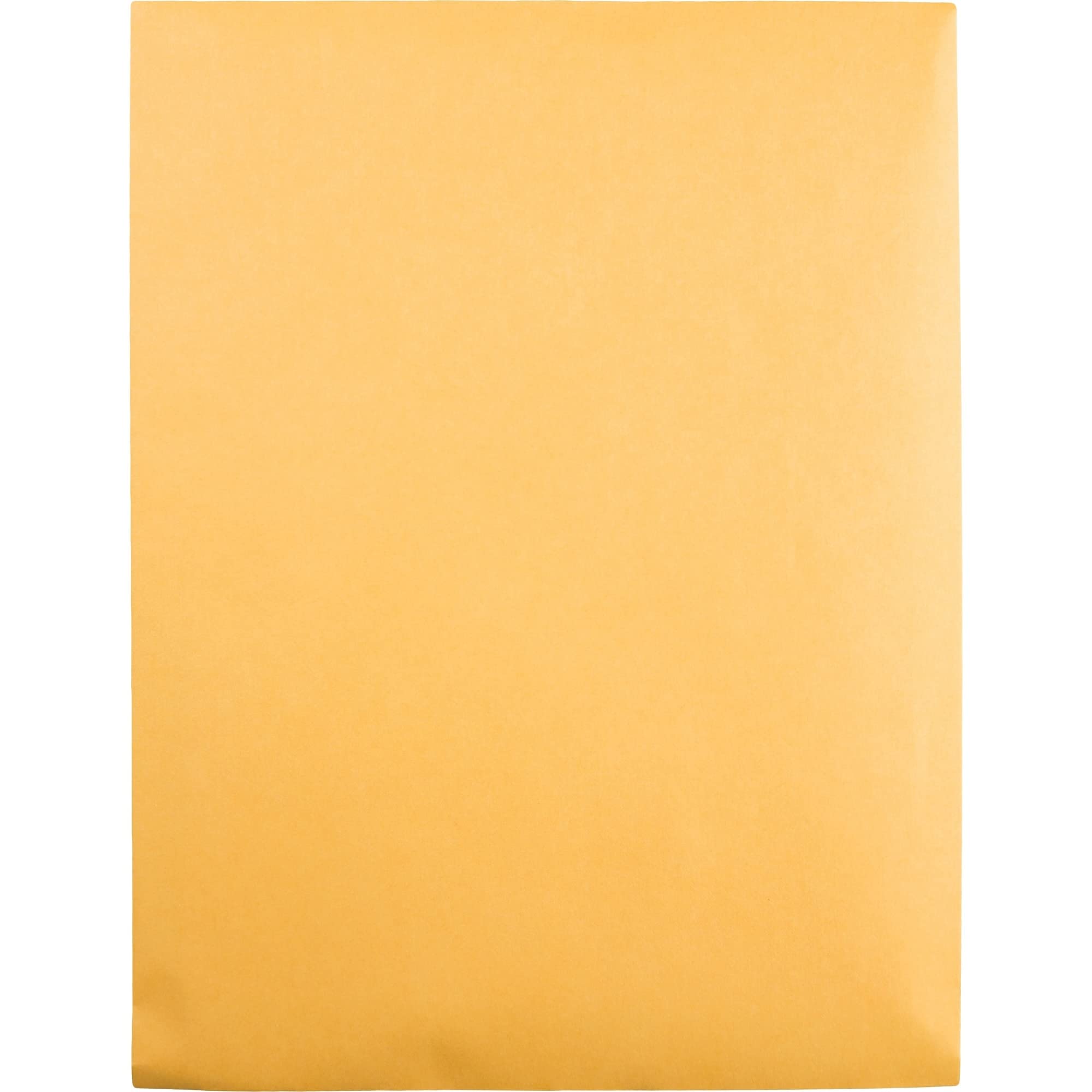 Quality Park QUA43762 Boîte de 250 enveloppes pour catalogue Marron