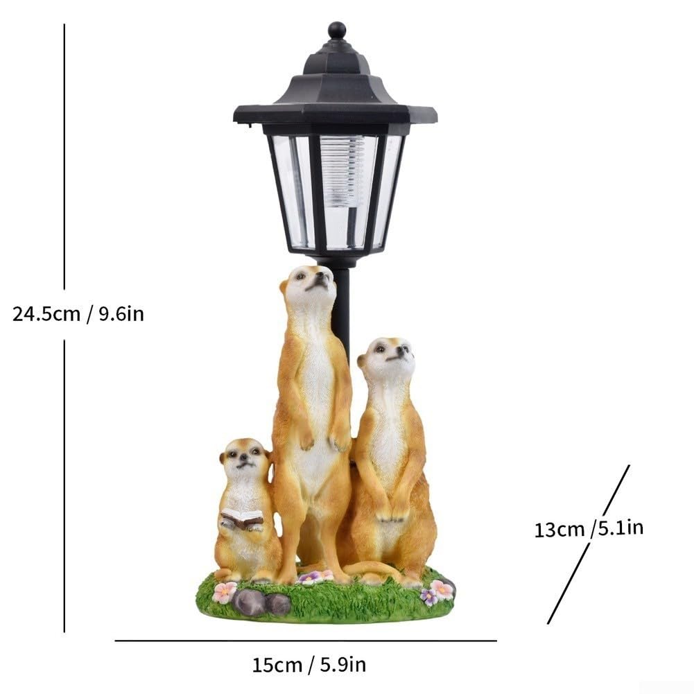 Fauhapyway Statua di suricato a energia solare, 24 cm, luce LED