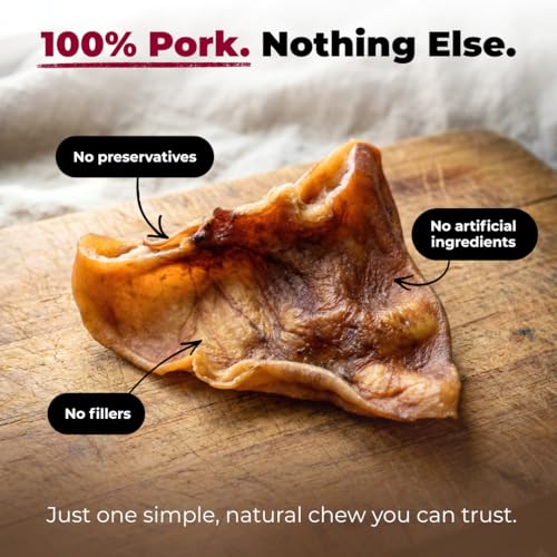 Image of Best Pet Supplies GigaBite Whole Pig Ears for Dogs, 12 Pack - All-Natural Slow-Roasted Chews that Clean Teeth and Satisfy Aggressive Chewers