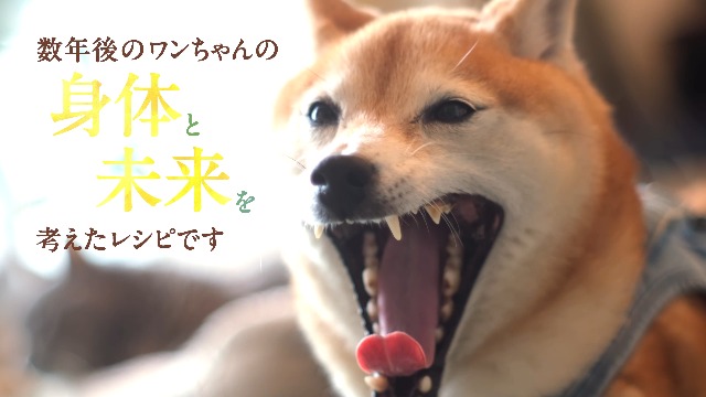 Amazon.co.jp: 健康いぬ生活 馬肉自然づくり 1kg×1袋 成犬 ～ シニア