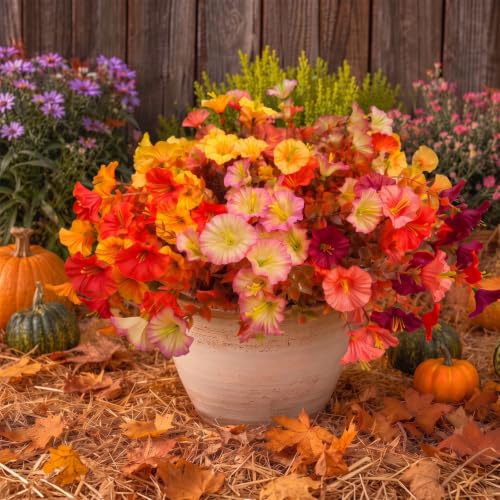 FULLMUSIC Autumn Artificial Flowers for Outdoor (10, Mixed Color A) — view 4