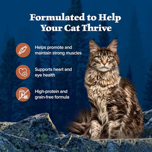 Image of Blue Buffalo Wilderness Chicken & Turkey Adult Wet Cat Food, 5.5 oz, 24 ct