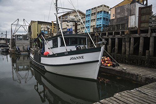 Fishing boats dock at Bay Center on the Washington Coast Bay Center Washington United States of America Poster Print by Robert L Potts Design Pics (34 x 22)