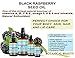 Botanical Beauty BLACK RASPBERRY SEED OI 100% Pure Natural Undiluted Virgin Unrefined Cold Pressed Carrier Oil. 0.5 Fl.oz.-15 ml. For Face, Skin, Hair, Lip, Nails