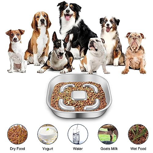 Antischlingnapf Hunde, Edelstahl Slow Feeder Hundenapf, Anti Schling Napf Hund mit Anti-Rutsch Silikon Leckmatte, Futternapf Hundenäpfe für Groß Klein Hund Katze