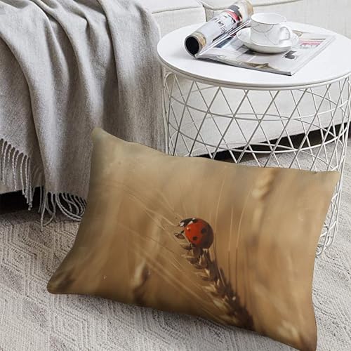 �Ă�Ƃ����̏����̎��|���N�b�V�����J�o�[ 20.32cmx30.54cm �������v���e�N�^�[ �t�@�X�i�[�t�� �X�v�����O�� �A�E�g�h�A �J�E�` �s���[�P�[�X �\�t�g & �ʋC�� �v���b�V���x�b�h���J�o�[ �\�t�@/�Q��/�K�[�f���x���`�p