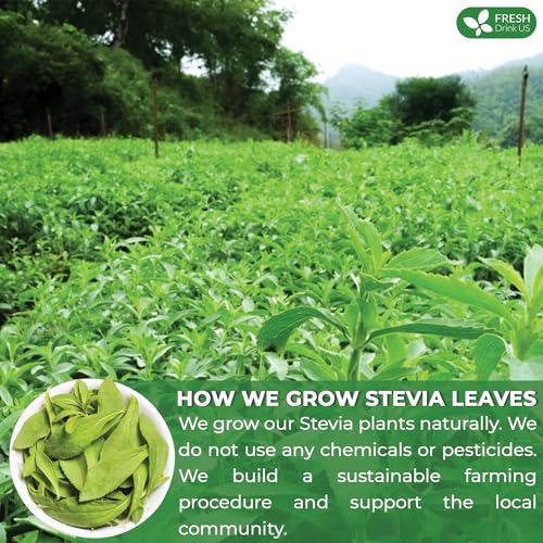Image of FreshDrinkUS, Premium 4.5oz Stevia Leaf Powder, Unprocessed Ground Stevia Leaves, 100% Natural & Pure, Stevia Leaf Sugar Substitutes, Natural Zero-Calorie Sweetener, No Additives, No Gluten, Vegan.