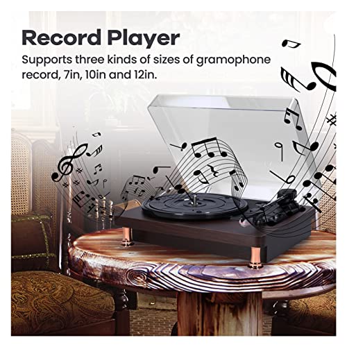 Tourne-Disque Vinyle Tourne-Disque Vinyle rétro avec Couvercle Anti-poussière Tourne-Disque de Style nostalgique Classique 33/45/78 TR/Min platines Gramophone phonographe - Les Beatles, Paul McCartney, John Lennon, RIngo Starr, George Harrison Tourne-Disque Vinyle Tourne-Disque Vinyle rétro avec Couvercle Anti-poussière Tourne-Disque de Style nostalgique Classique 33/45/78 TR/Min platines Gramophone phonographe – Image 3