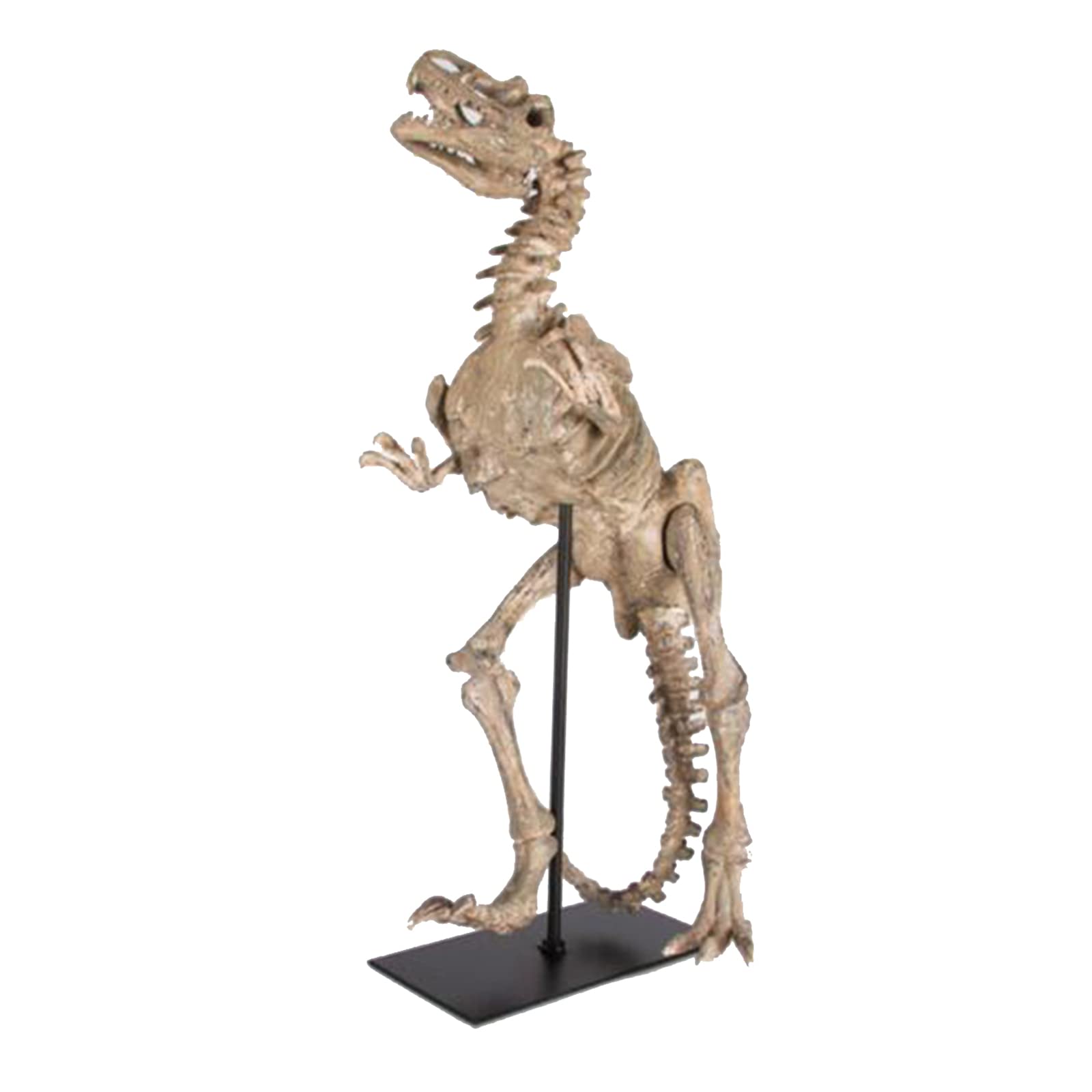 Model szkieletu Tyrannosaurus Rex - replika żywicy dinozaura w skali - ręcznie wykonana figurka żywicy dinozaura do badań archeologicznych zwierząt