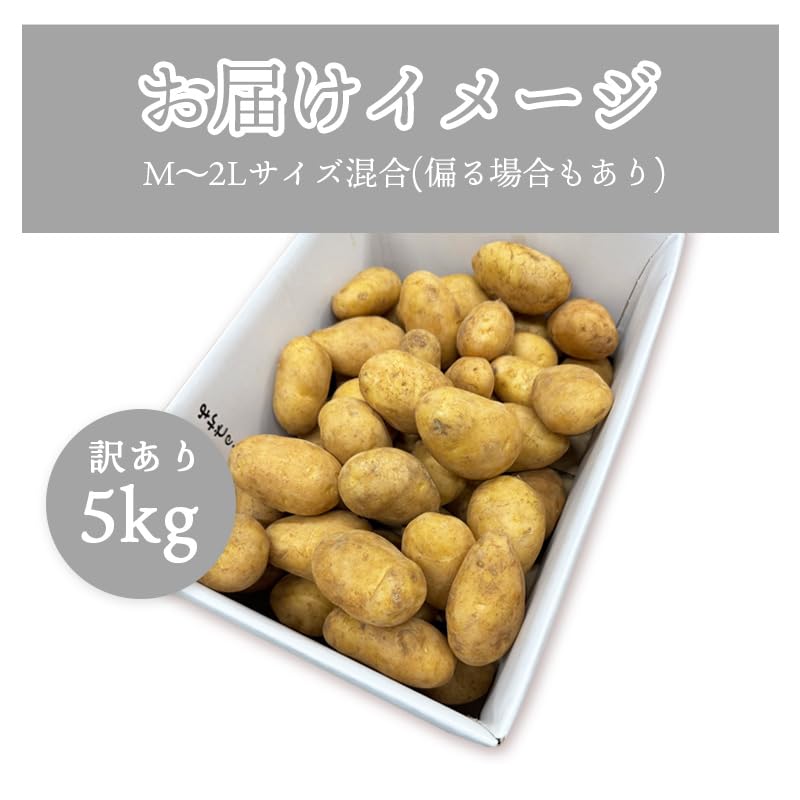 Amazon.co.jp: [みさわのやさい] メークイン じゃがいも 5kg サイズお