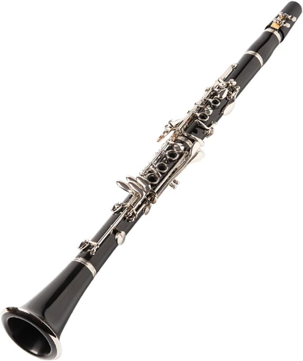 clarinet for Beginner Clarinet instrument 17 key B flat beginner clarinet
