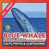 All about Blue Whale | Facts, Photos and Illustrations: A Picture Book for Kids and Toddlers | Screen-Free Infotainment (MY WORLD for YOUNG READERS)