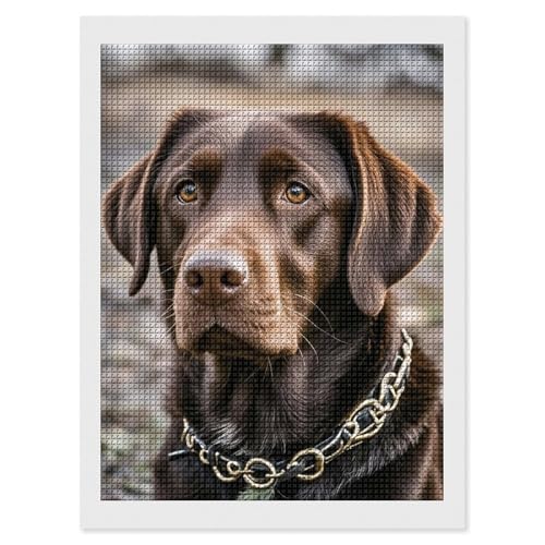 Broderie diamant 5D Labrador tableau scintillant pour créer un nid douillet