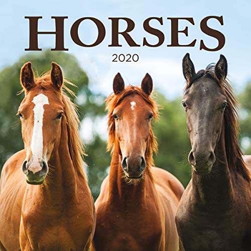 Turner Photo Horses 2020 12X12 Photo Wall Calendar (20998940025)