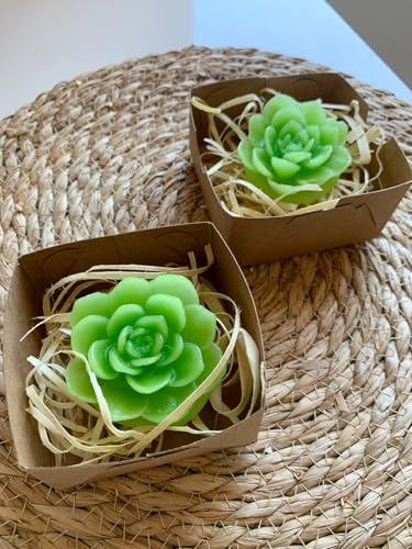 Mini Velas Suculentas em Caixa de Papel Kraft, Lembrancinhas Decorativas 2 unidades
