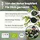 Bio Chlorella Pulver 100g – Hochwertiges Algenpulver, vegan & ohne Zusätze – Zellwand aufgebrochen, reich an Vitamin B12 & Eisen, plastikfrei verpackt