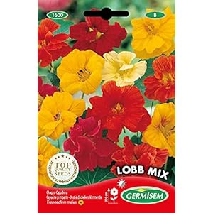 Germisem EC1600 Lobb Mix Kapucijner Tuinkers Zaden 5 g