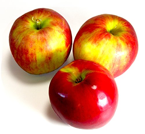 訳あり紅玉りんご 青森県産 不揃い 2.5kg