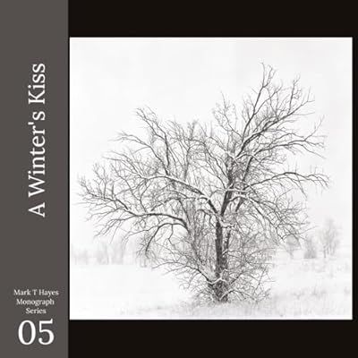 A Winter's Kiss