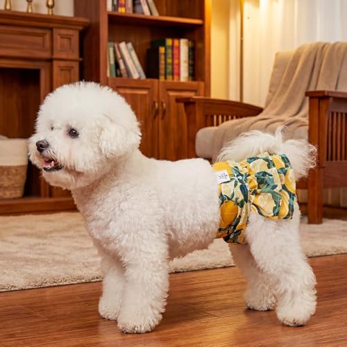 Image of CuteBone Female Dog Diapers with Skirts 3 Pack Reusable Puppy Dresses Pants for Heat Cycle Period
