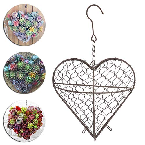 Nuxn Indoor Hanging Planter Holder Heart Shape Succulent Flower Pot Decor Basket Rustic Iron Wire Wreath Frame Succulent Pot Hanging Wall Air Plant Holder Garden Metal #TOP6