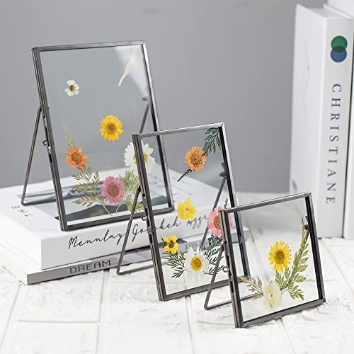 Set Of 3 Glass Pressed Flowers Frame, Vintage Black Floating Picture Frames Collection 4" X 4", 4" X 6", 5" X 7", Metal Tabletop Standing Glass Floating Picture Frame Home Decor Artwork Photo Display #TOP4