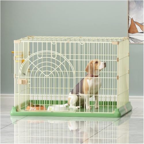 LumoLight^C[ybgLqLtFbg``P[WAvCyN[gGN[W[PlLbgz[OAL̃N[gLbgP[WPlGN[W[vCyẢƂ̃P[W (O[)