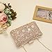 Tanpell Womens Evening Bags Bridal Clutch Rhinestone Clutch Purses Evening Handbags with Chain for Women Ladies Sparkling Party Wedding Prom Cocktail Party (Champagne)