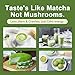 Grelim Mushroom Matcha Infused With 7 Superfood Mushrooms, MCT Oil, Coconut Milk Powder - Great Tasting Matcha Latte 3.52 Oz