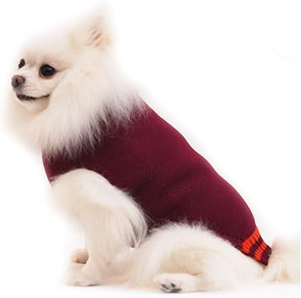 amazon dog jumpers
