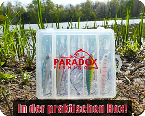 Zander Wobbler Set von Paradox Fishing 4 Stück mit Box