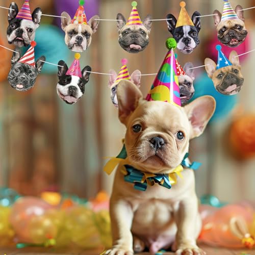 Image of Hooqict Dog Birthday Banner Puppy Themed Party Decorations for Backdrop Funny French Bulldog Garland Dog Party Banner Happy Birthday Sign for Boys Girls Kids 1st 2nd 3rd