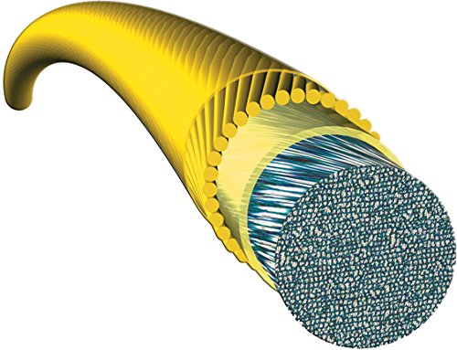 Tourna Quasi Gut #TOP2