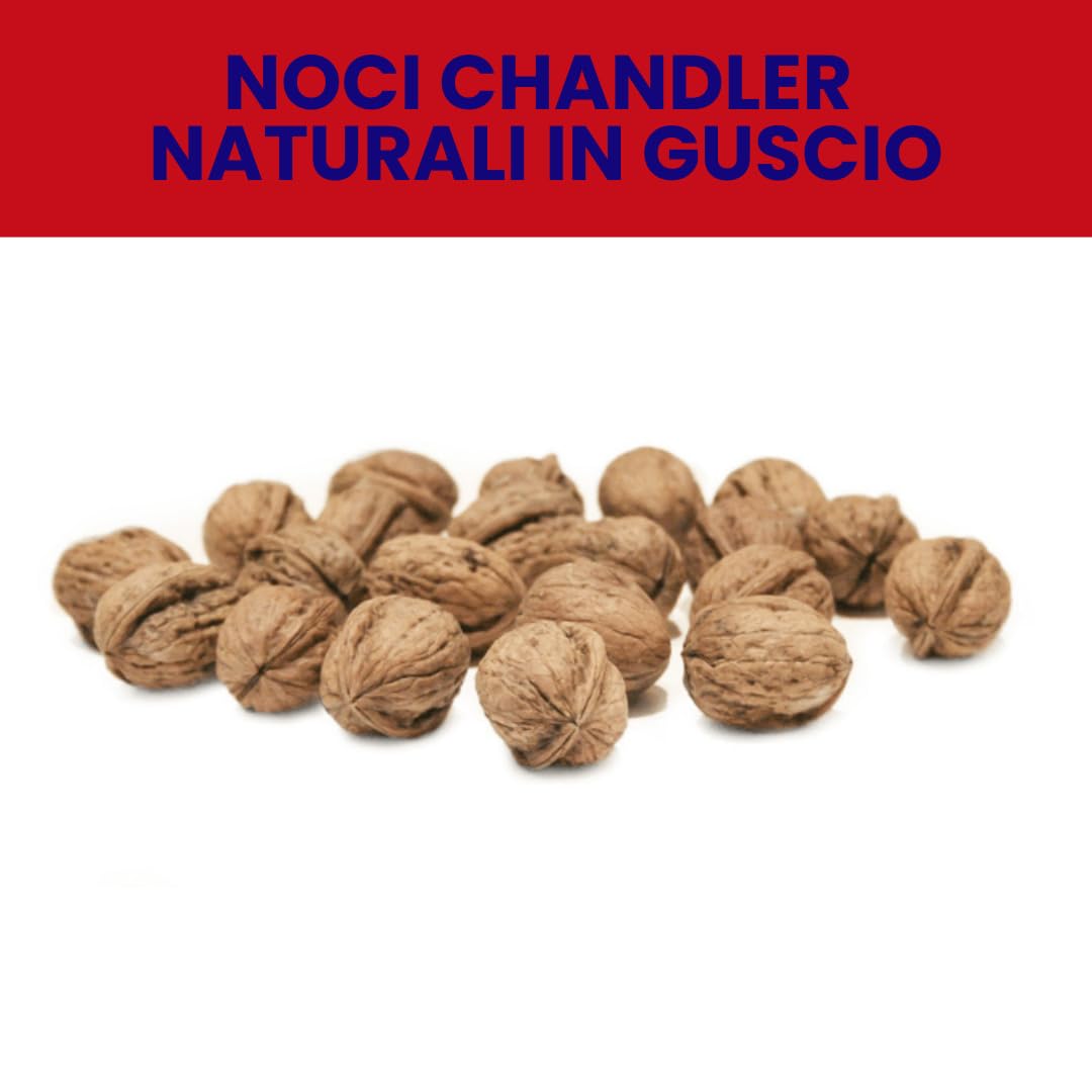 Alfano dal 1940 Noci Chandler Naturali con Guscio non Trattato 500g Ricche di Fibre, Magnesio e Fonte di Potassio Snack Ideale per una Dieta Equilibrata e Vegana (8 Pezzi)