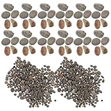 Miniatures – la qualité de fabrication exceptionnelle de nos produits vous permettra de créer un micro-paysage de