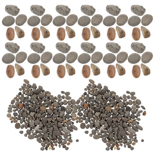 VERDANVERSE �����p������ ���a�p�W�I���}�΍ރZ�b�g �͏���2-5mm 50g�ܓ��� �~�j�`���A�뉀��~�� �S���͌^�̃��C�A�E�g����