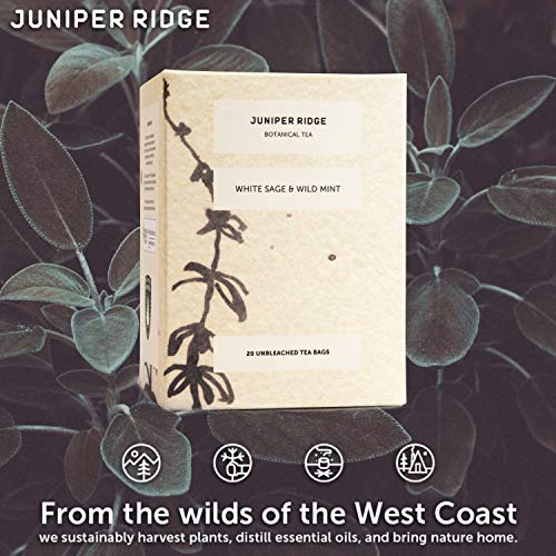 Juniper Ridge White Sage & Wild Mint Botanical Tea - Earthy, Herbal, & Bright Mint Notes - Vegan, Caffeine Free & Gluten Free - 20 Unbleached Teabags #TOP5