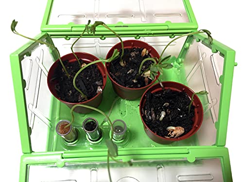 SmartLab Toys TINY Gardening with 20 Enormously Fun Growing Activities. Big Science. Tiny Tools. - Image 10