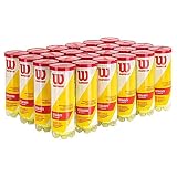WILSON Pelotas Tenis Championship Extra Duty Champ 24x3