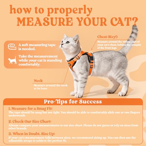 Image of rabbitgoo Cat Harness and Leash Set, Escape Proof Vest, Orange | Soft Breathable Mesh, Easy Adjustable Fit, Snap Buckles, Sturdy Clip, Reflective Strips, for Medium to Large Cats Walks, M