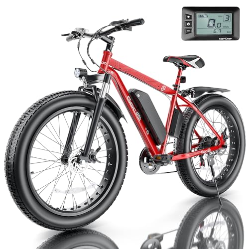 GOCIO 750W Fat Tire E-Bike