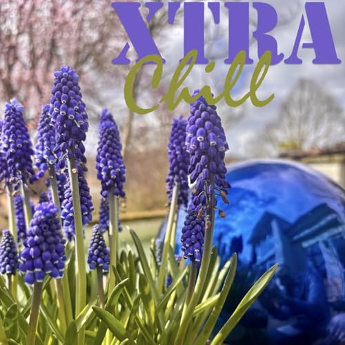 XtraChill 458