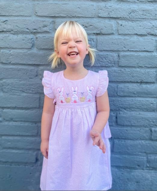 Toddler Baby Girl Birthday Dress Silly Goose Birthday Outfit A Line Party Princess Dresses Kids Summer Clothes - Image 2