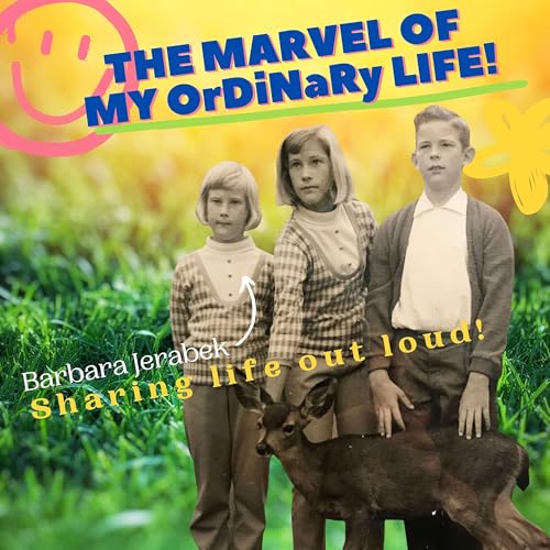 The Marvel of My OrDiNaRy Life! cover art