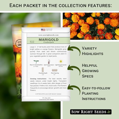 Sow Right Seeds - Insect & Pest Repellent Seed Collection for Planting - Lavender, Catnip, Marigold, Hyssop & Lemon Grass - 5 Packets with Instructions for Home Garden - Natural Pest Solution - Image 2