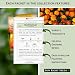 Sow Right Seeds - Insect & Pest Repellent Seed Collection for Planting - Lavender, Catnip, Marigold, Hyssop & Lemon Grass - 5 Packets with Instructions for Home Garden - Natural Pest Solution