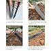 Landschaftsrandkit Langlebige einfache Installation 50 Spikes für Blumenbeete Gärtencapes (1 Pack)