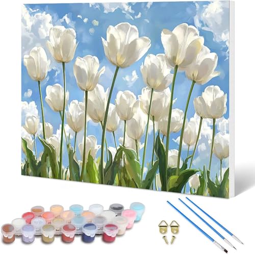 Paint by Numbers  G 40x30cm, l h DIYG fW^G A io[yCg S҂Ƒl - KpΏ CeA Ǐ z[fR[V -hjw25010MG