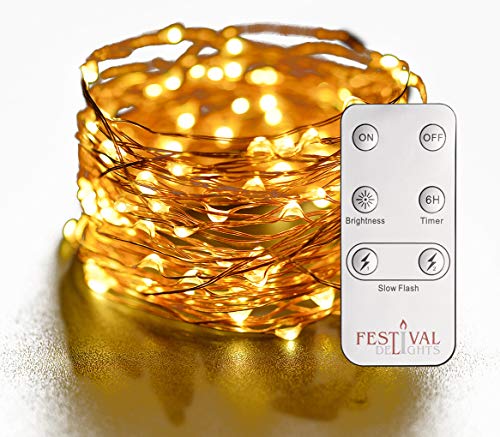 Festival Delights Fairy Lights- LED String Lights with Remote and Timer (60 LEDs)